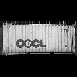 20' Corrugated Container -- OOCL