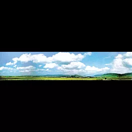 Background Scene - 153 x 25-9/16"388 x 65cm -- Black Forest Baar Extention