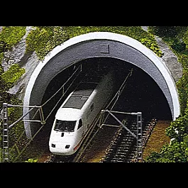 "ICE" Tunnel Portal -- Double Track
