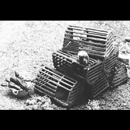 Lobster Traps