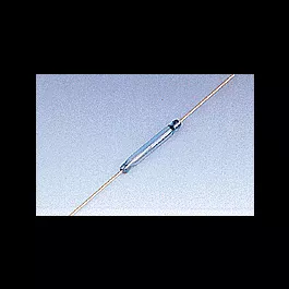 Magnetic Reed Switch -- Inert Gas-Filled Tube Contact