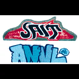 Modern "Tagger" Graffiti Decals -- Set #11 Anvl/Jait