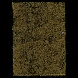 Thinning Grass Pad - 11-11/16 x 8-1/4"29.7 x 21cm -- Late Summer/Early Autumn Grass