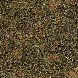 Thinning Grass Pad - 11-11/16 x 8-1/4"29.7 x 21cm -- Late Summer Grass