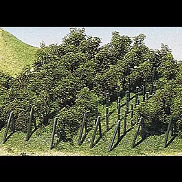 Vineyard w/Poles