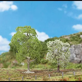 Wild Cherry Trees - Premium -- 3-3/8 & 4-3/4"8.5 & 12cm pkg(2)